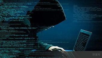 黑客爆料视频大全网站,黑客爆料视频大全网站内幕大曝光  第1张