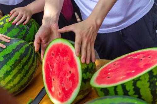 吃免费瓜,共享甜蜜，品味生活