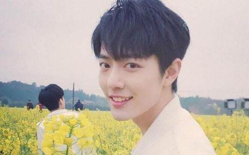 圈内人爆料杨紫肖战最新,神秘新剧引期待  第2张